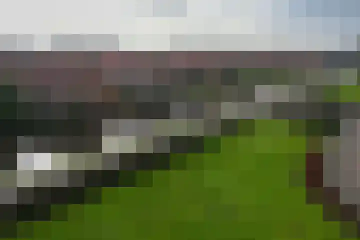 Hortensialaan 91 De Kwakel thumbnail 11