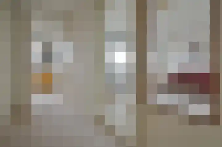 Hortensialaan 91 De Kwakel thumbnail 13