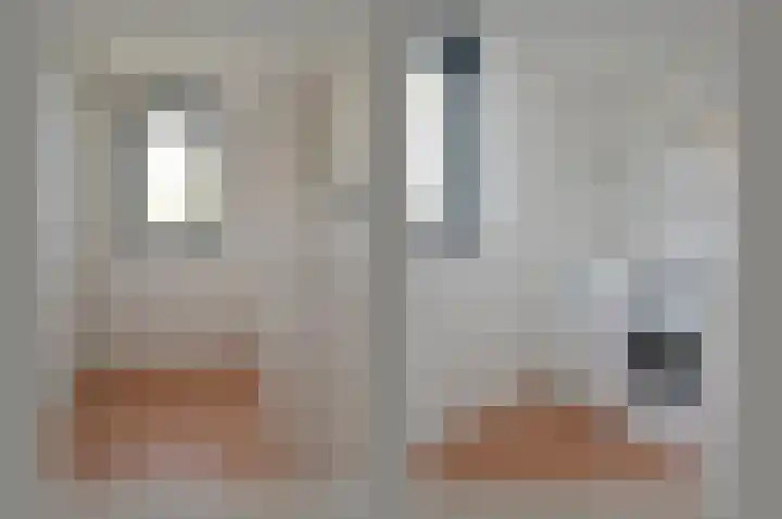 Hortensialaan 91 De Kwakel thumbnail 18