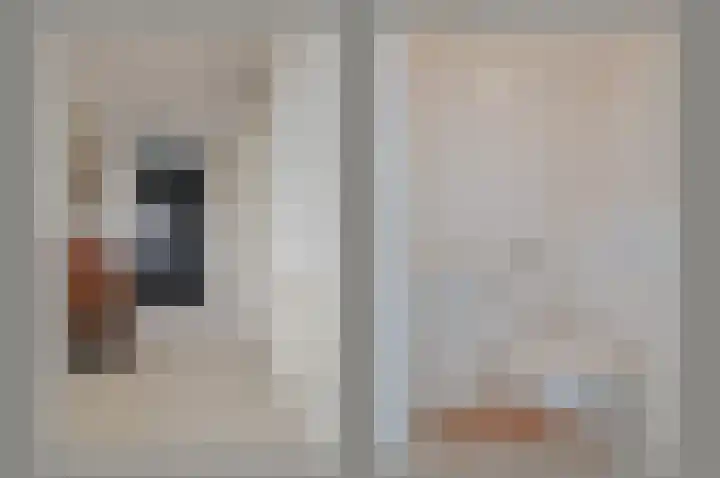 Hortensialaan 91 De Kwakel thumbnail 19