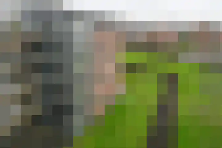 Hortensialaan 91 De Kwakel thumbnail 23