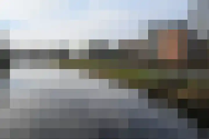 Hortensialaan 91 De Kwakel thumbnail 26