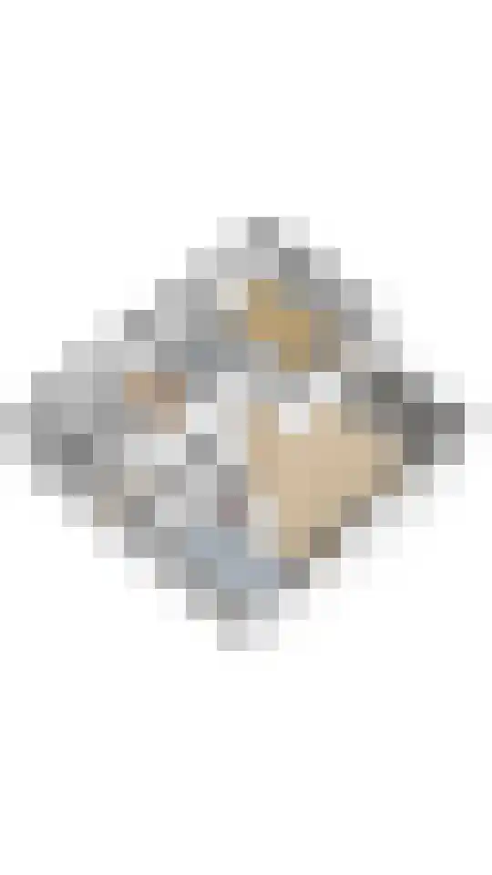 Hortensialaan 91 De Kwakel thumbnail 28