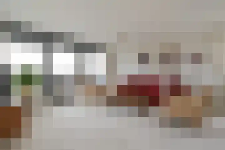 Hortensialaan 91 De Kwakel thumbnail 4