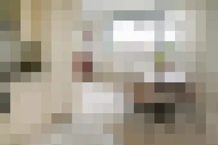 Hortensialaan 91 De Kwakel thumbnail 8