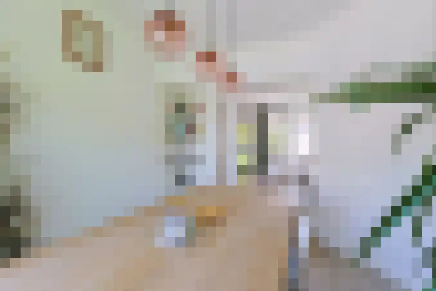 Hortensiastraat 1 A Alphen aan den Rijn thumbnail 18