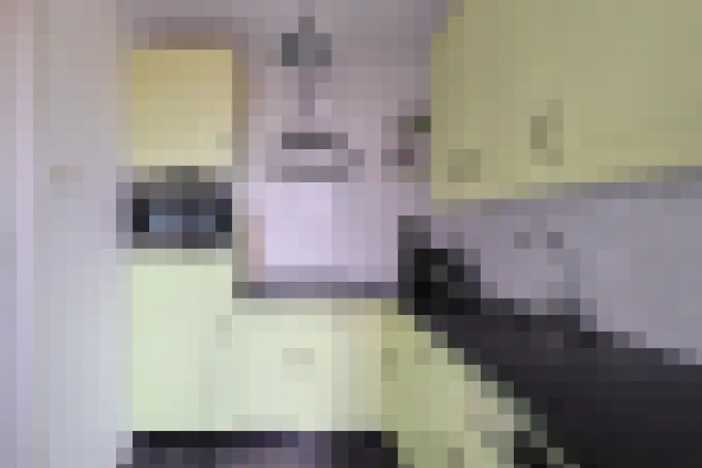 Hortensiastraat 1 A Alphen aan den Rijn thumbnail 22