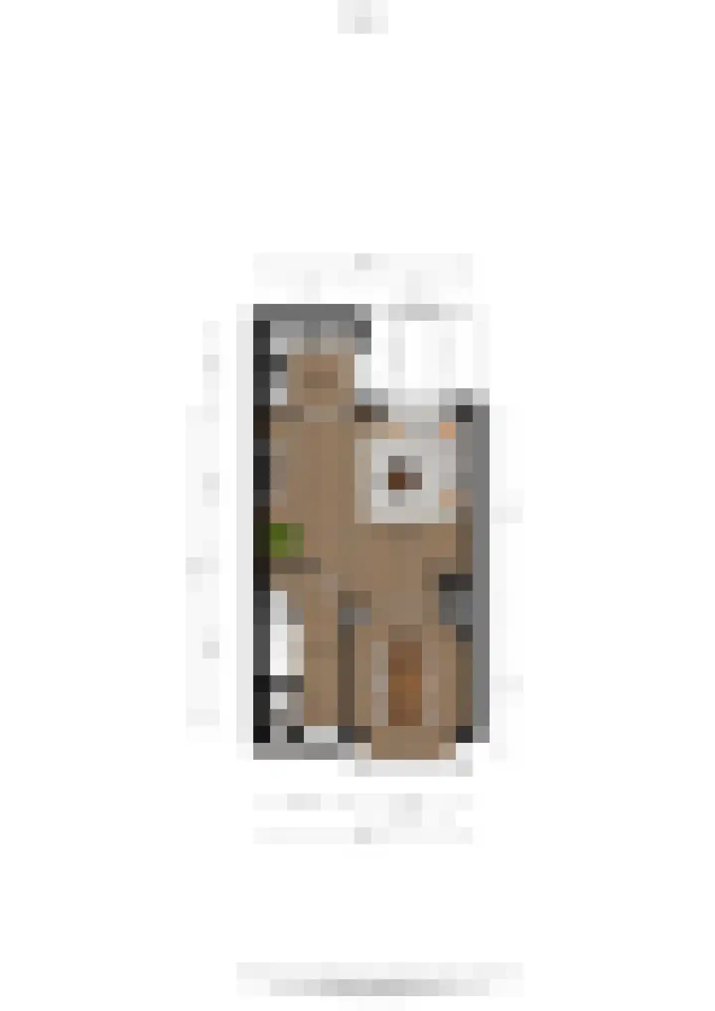 Hortensiastraat 1 A Alphen aan den Rijn thumbnail 61