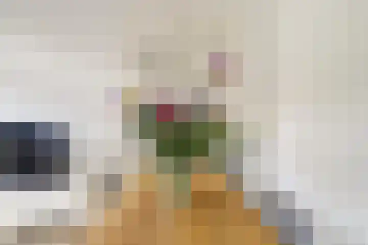 Hortensiastraat 1 A Eindhoven thumbnail 10