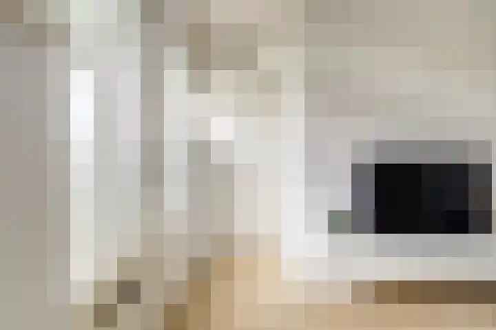 Hortensiastraat 1 A Eindhoven thumbnail 12