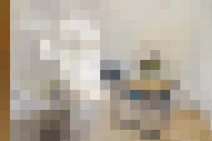Hortensiastraat 1 A Eindhoven thumbnail 13