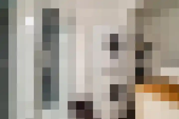 Hortensiastraat 1 A Eindhoven thumbnail 19