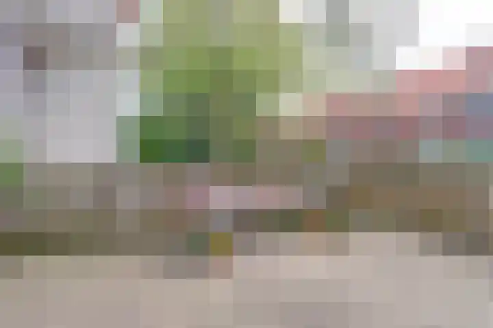 Hortensiastraat 1 A Eindhoven thumbnail 21