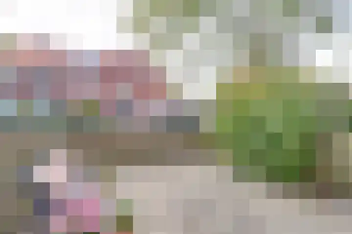Hortensiastraat 1 A Eindhoven thumbnail 22