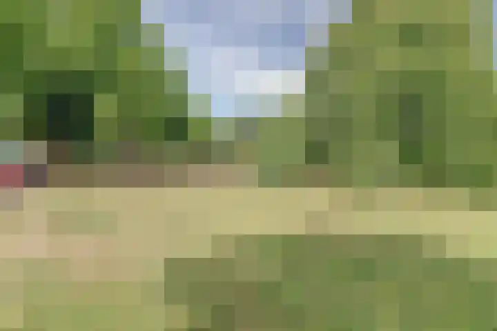 Hortensiastraat 1 A Eindhoven thumbnail 23
