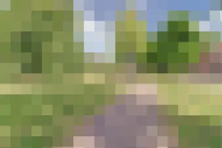 Hortensiastraat 1 A Eindhoven thumbnail 24
