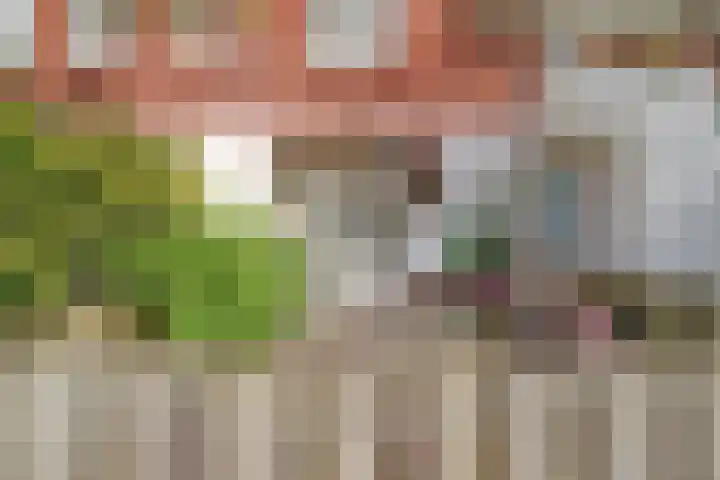 Hortensiastraat 1 A Eindhoven thumbnail 5