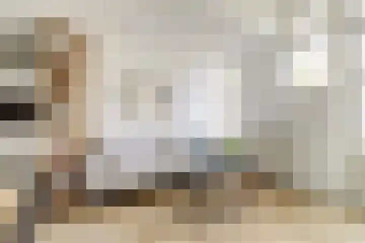 Hortensiastraat 1 A Eindhoven thumbnail 7