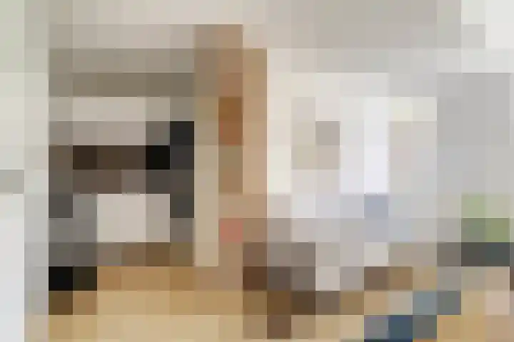 Hortensiastraat 1 A Eindhoven thumbnail 8