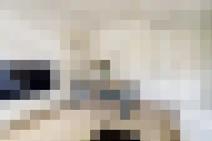 Hortensiastraat 1 A Eindhoven thumbnail 9