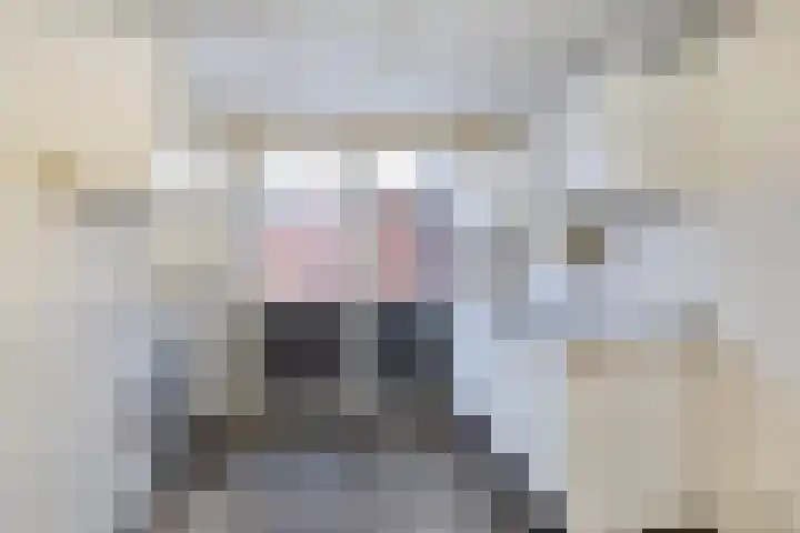 Hortensiastraat 10 Assen thumbnail 7