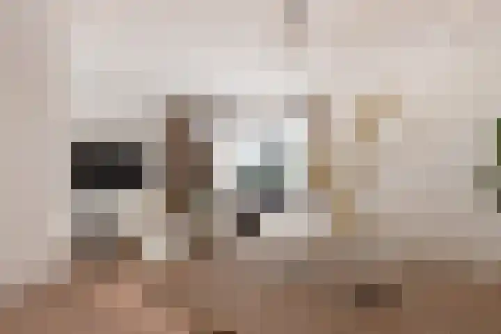 Hortensiastraat 10 B Wezep thumbnail 12