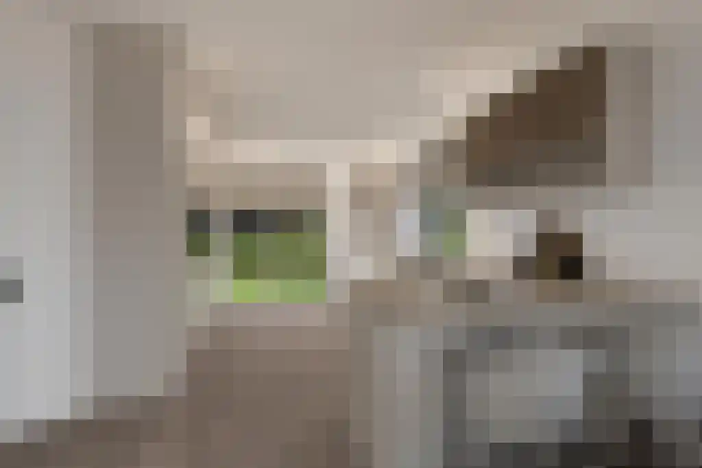 Hortensiastraat 10 C Wezep thumbnail 13