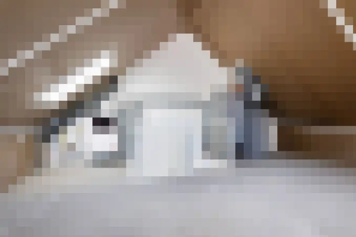 Hortensiastraat 10 C Wezep thumbnail 23
