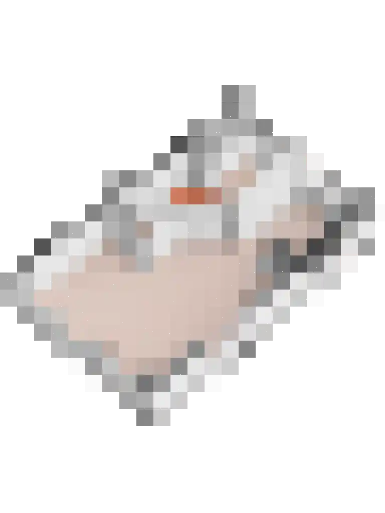Hortensiastraat 10 C Wezep thumbnail 31