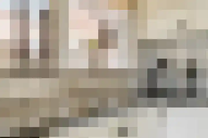 Hortensiastraat 10 Ederveen thumbnail 14
