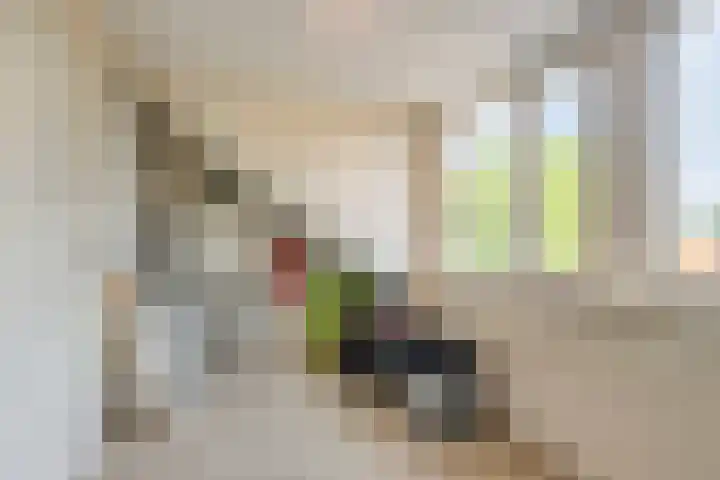 Hortensiastraat 10 Ederveen thumbnail 26