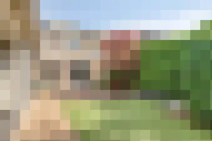 Hortensiastraat 10 Ederveen thumbnail 28