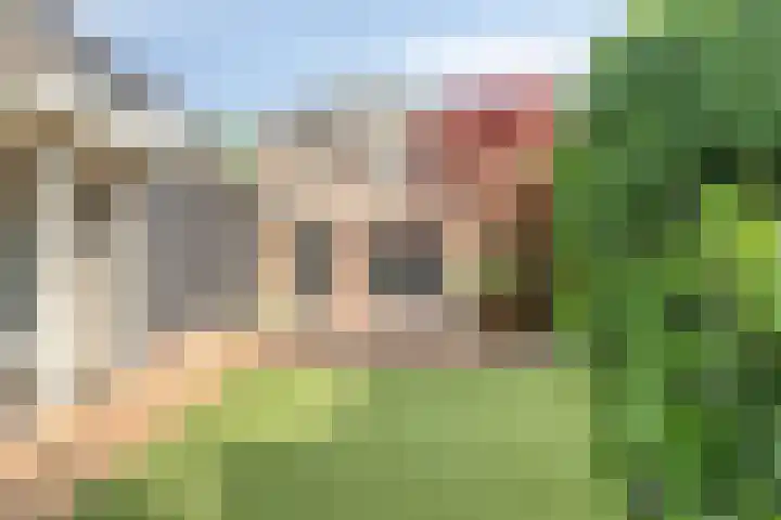 Hortensiastraat 10 Ederveen thumbnail 29