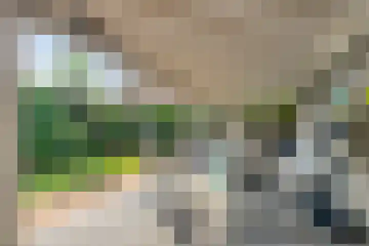 Hortensiastraat 10 Ederveen thumbnail 30