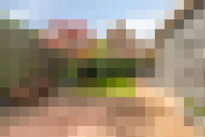 Hortensiastraat 10 Ederveen thumbnail 32