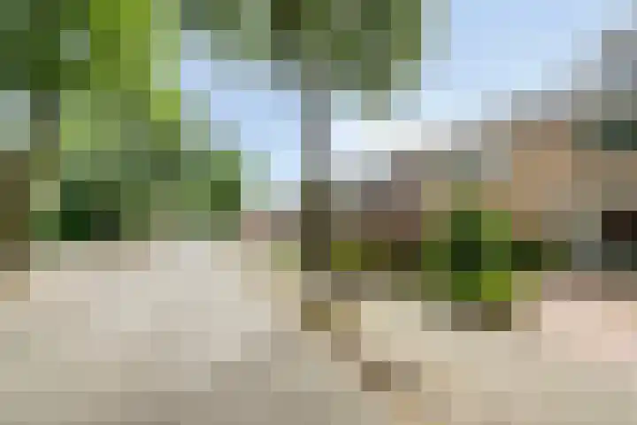 Hortensiastraat 10 Ederveen thumbnail 35