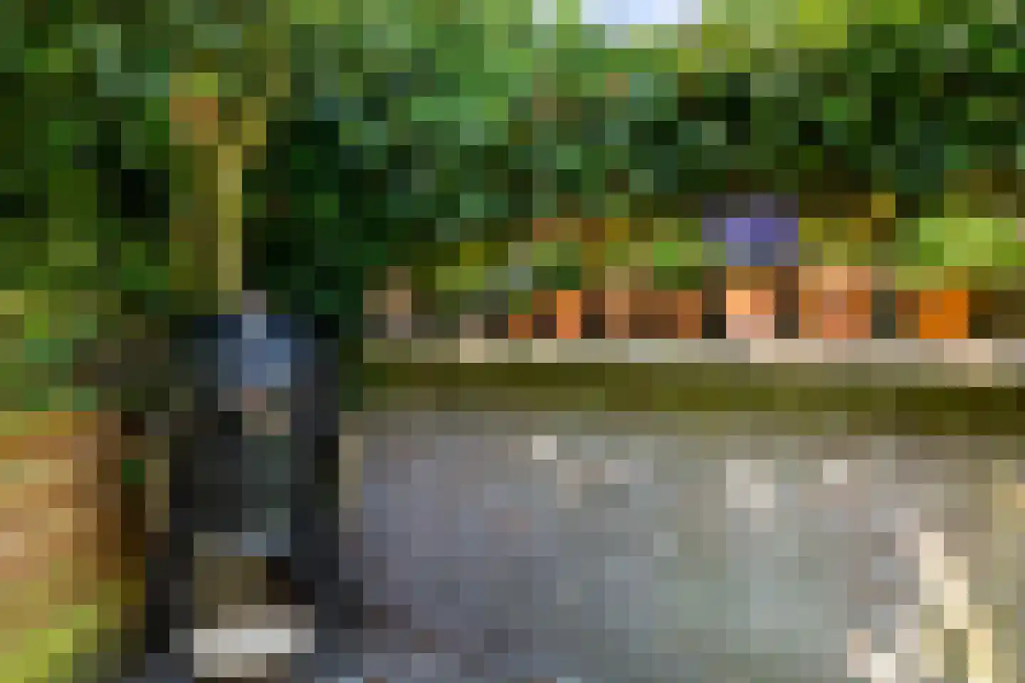 Hortensiastraat 111 Zwolle thumbnail 20
