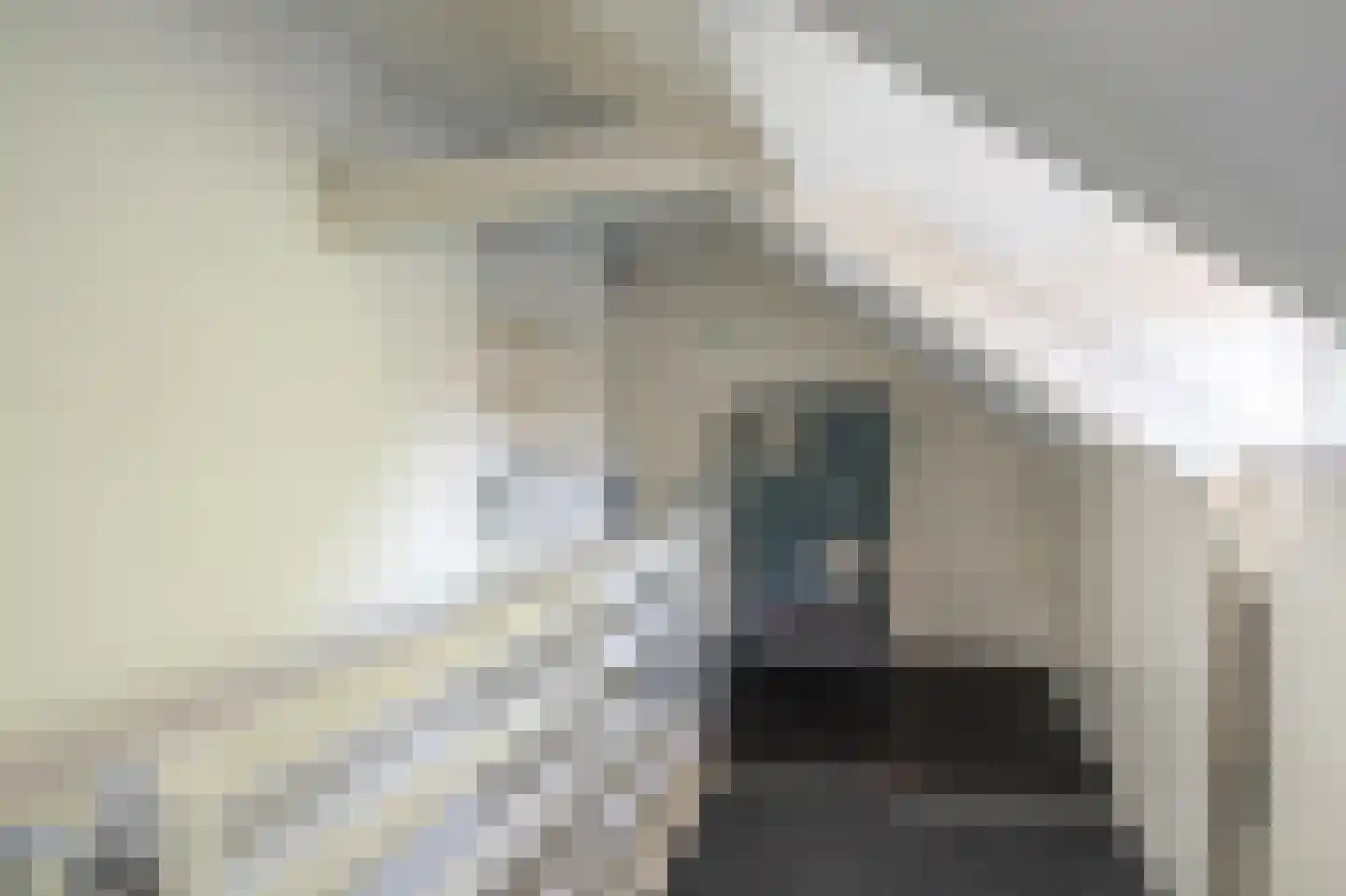 Hortensiastraat 111 Zwolle thumbnail 34