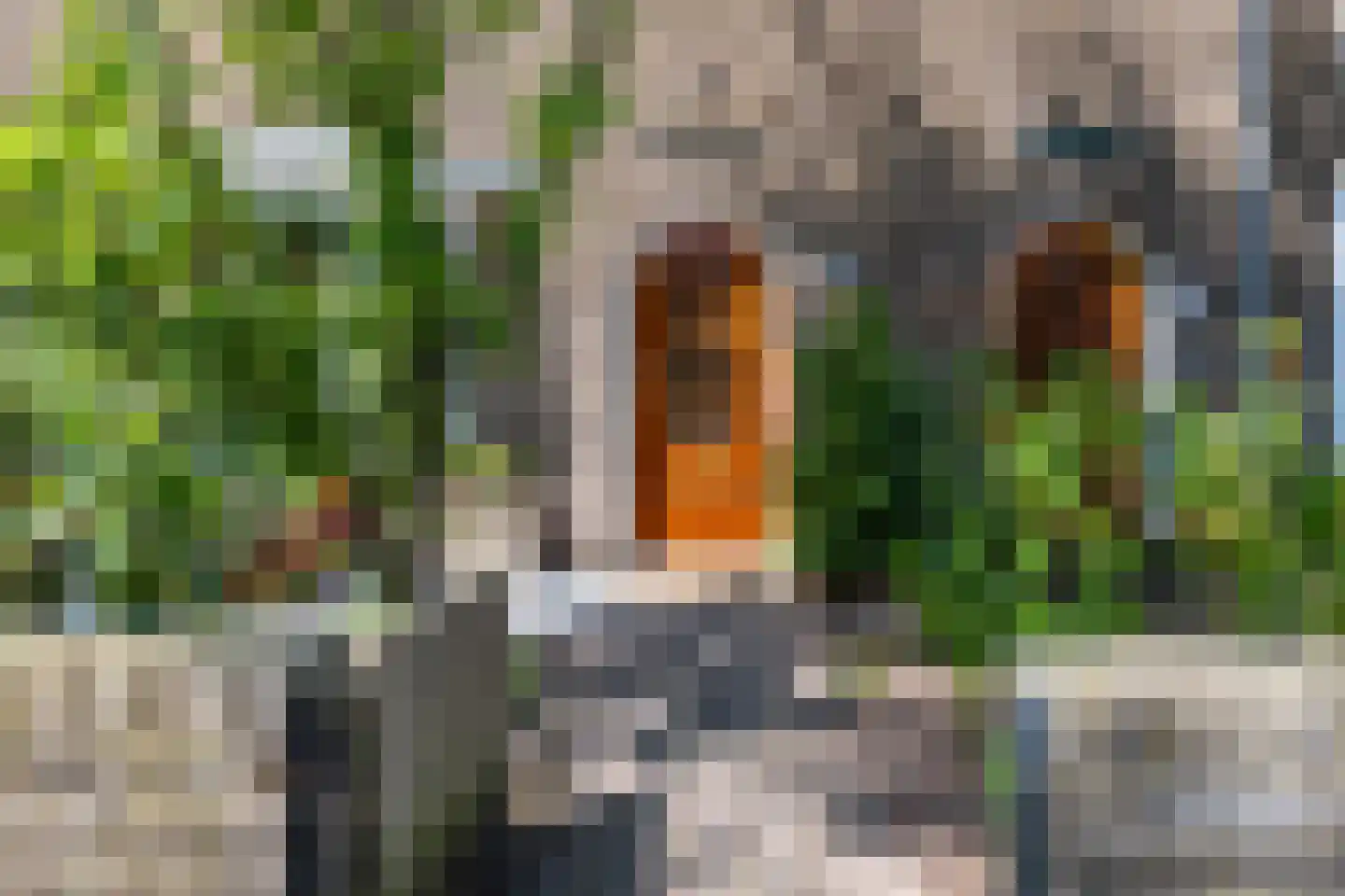 Hortensiastraat 111 Zwolle thumbnail 6