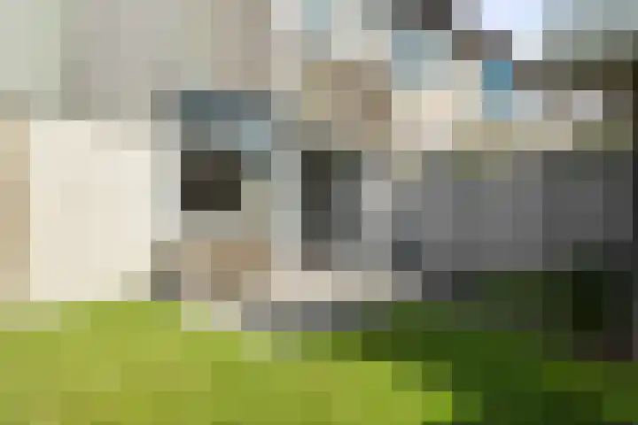 Hortensiastraat 119 Den Helder thumbnail 14