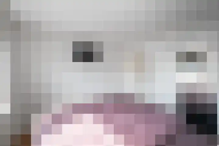 Hortensiastraat 119 Den Helder thumbnail 17