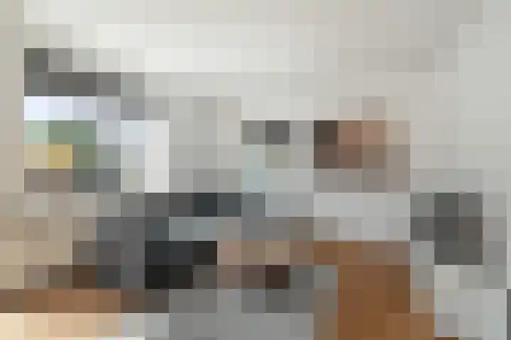 Hortensiastraat 119 Den Helder thumbnail 7