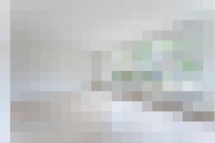 Hortensiastraat 12 Ederveen thumbnail 11