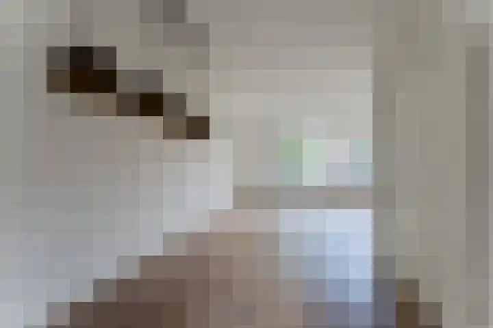 Hortensiastraat 12 Ederveen thumbnail 13