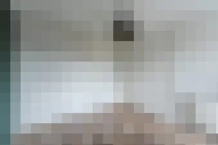 Hortensiastraat 12 Ederveen thumbnail 27
