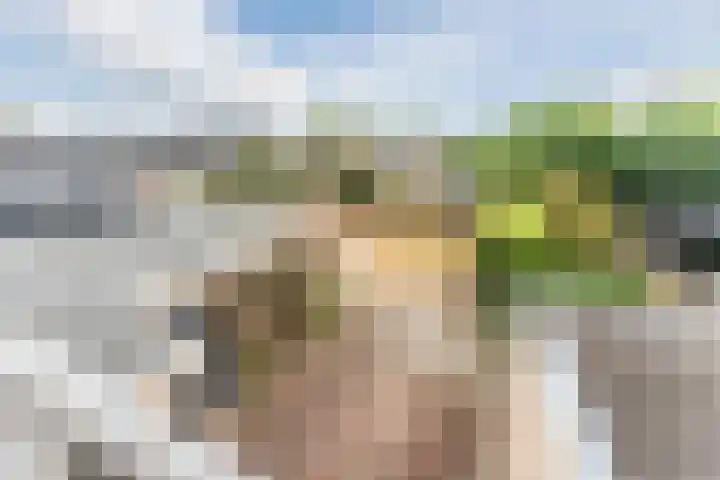 Hortensiastraat 12 Ederveen thumbnail 38