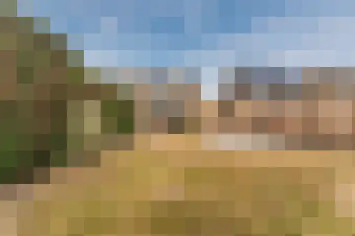 Hortensiastraat 12 Ederveen thumbnail 40