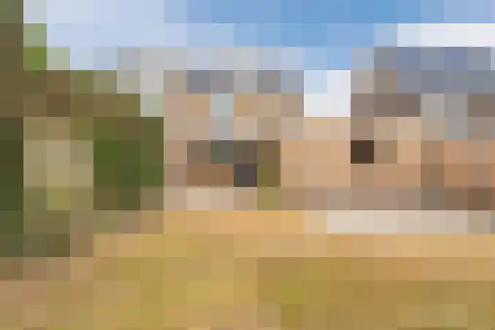 Hortensiastraat 12 Ederveen thumbnail 41
