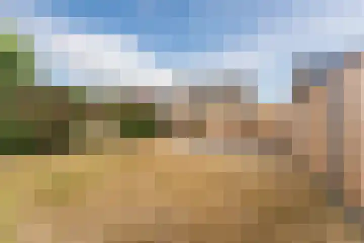 Hortensiastraat 12 Ederveen thumbnail 42