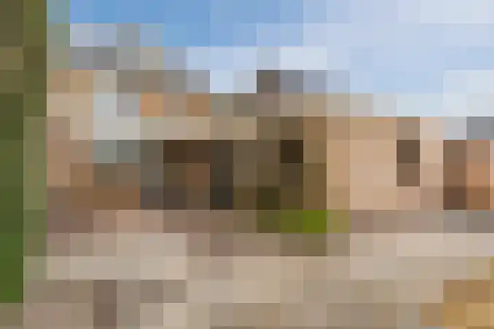 Hortensiastraat 12 Ederveen thumbnail 43